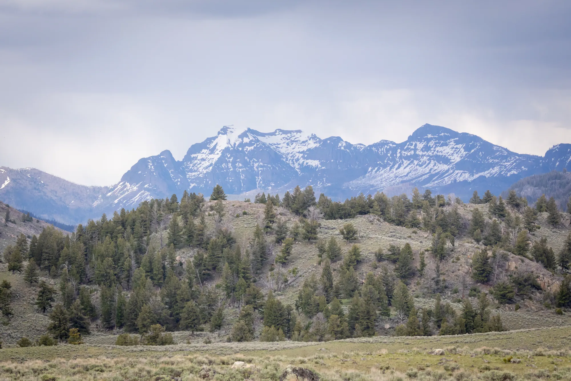 Snow-capped peaks rising above forested foothills in late spring